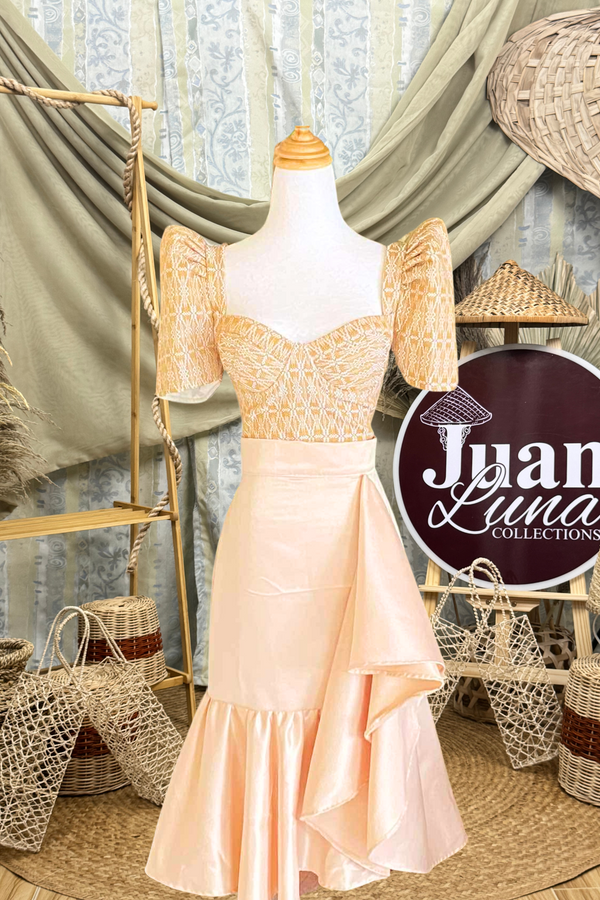Modern Filipiniana Dress