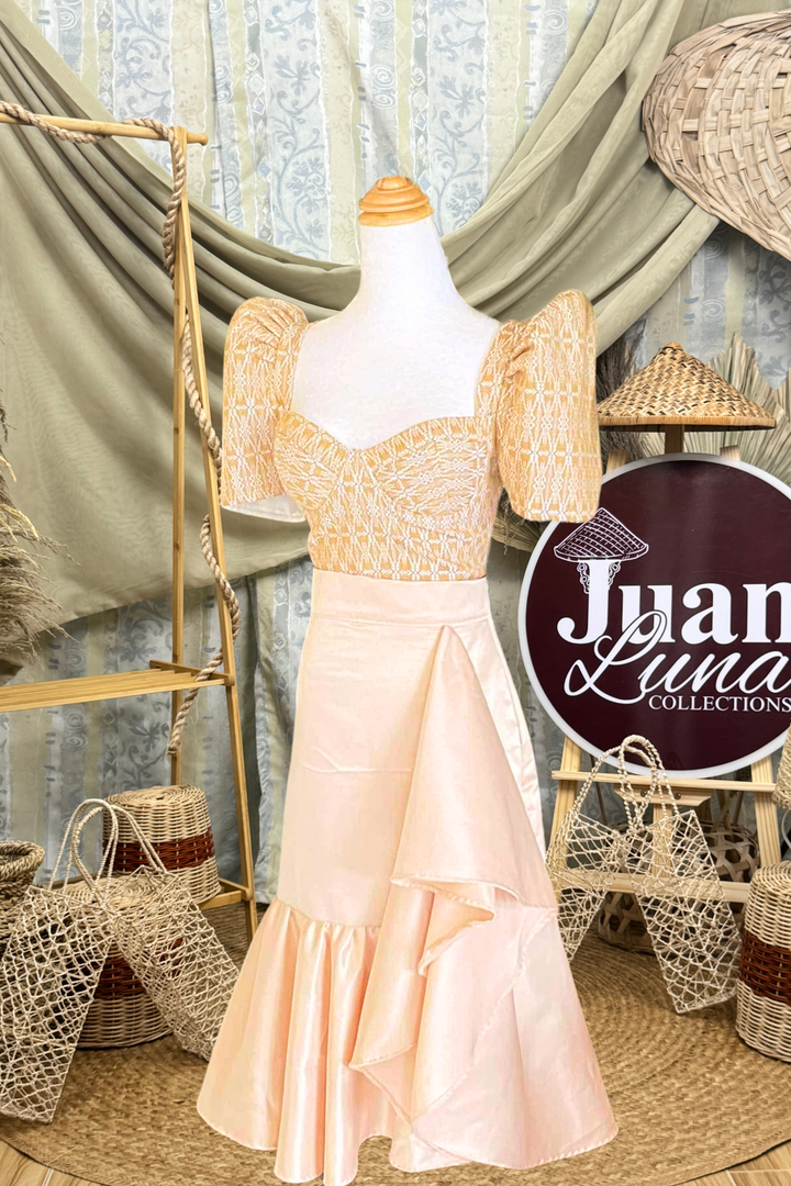 Modern Filipiniana Dress for women